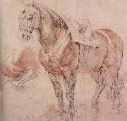 Peter Paul Rubens Horse oil painting